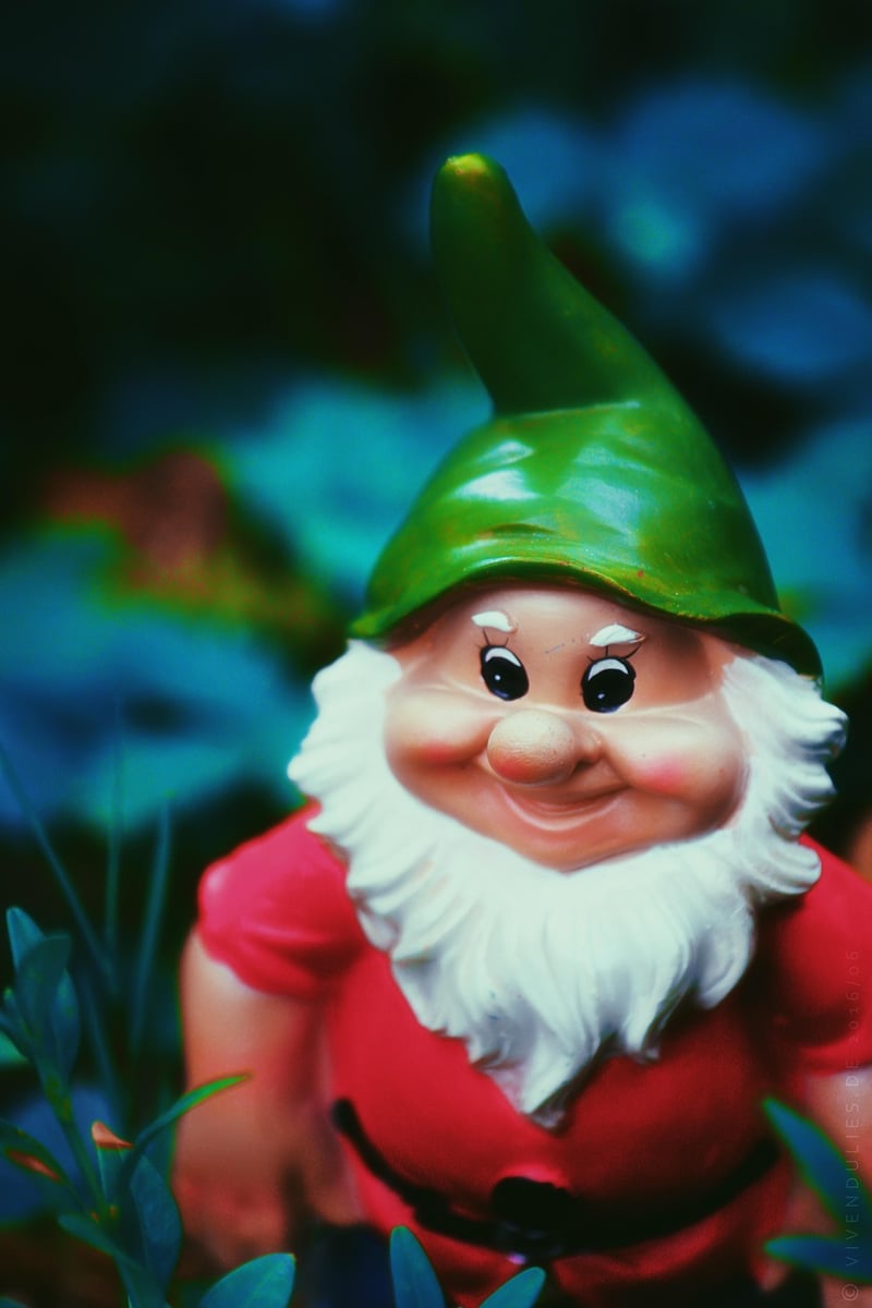 Pixie Garden