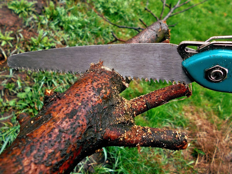 Enchanted Pruning